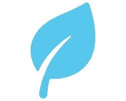 Дотримання норм, вивезення рідких відходів лише на офіційні полігони.